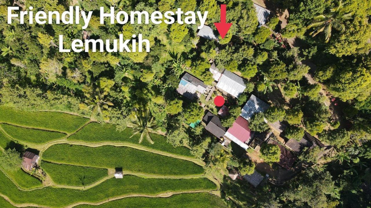 Friendly Homestay Lemukih Singaraja Zewnętrze zdjęcie
