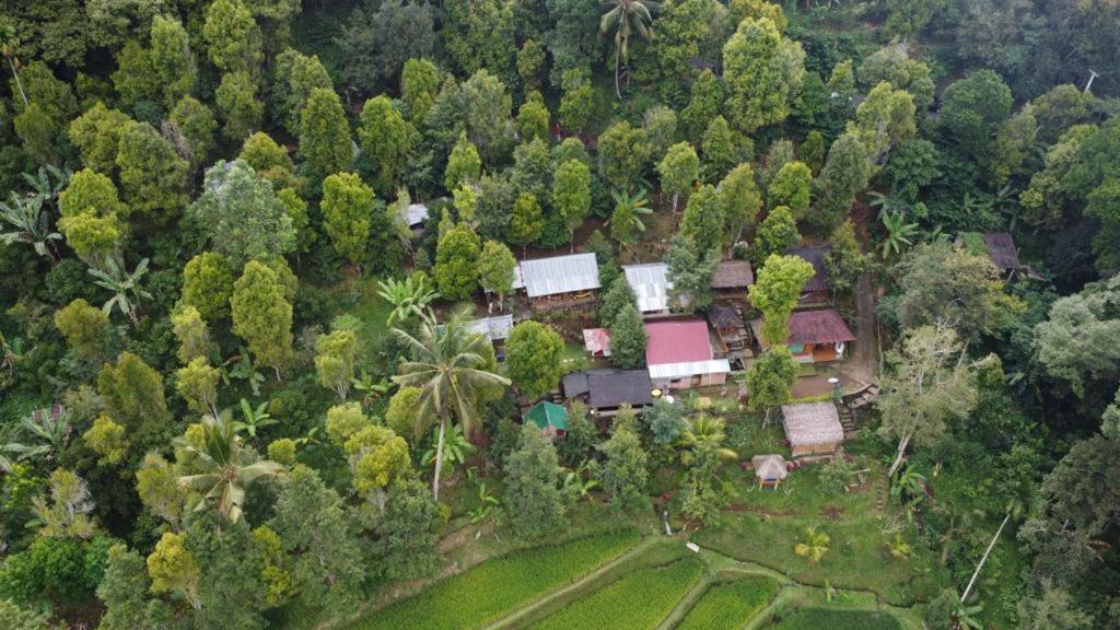 Friendly Homestay Lemukih Singaraja Zewnętrze zdjęcie